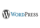 Wordpress website designing