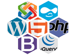 Web Designing company in Chennai